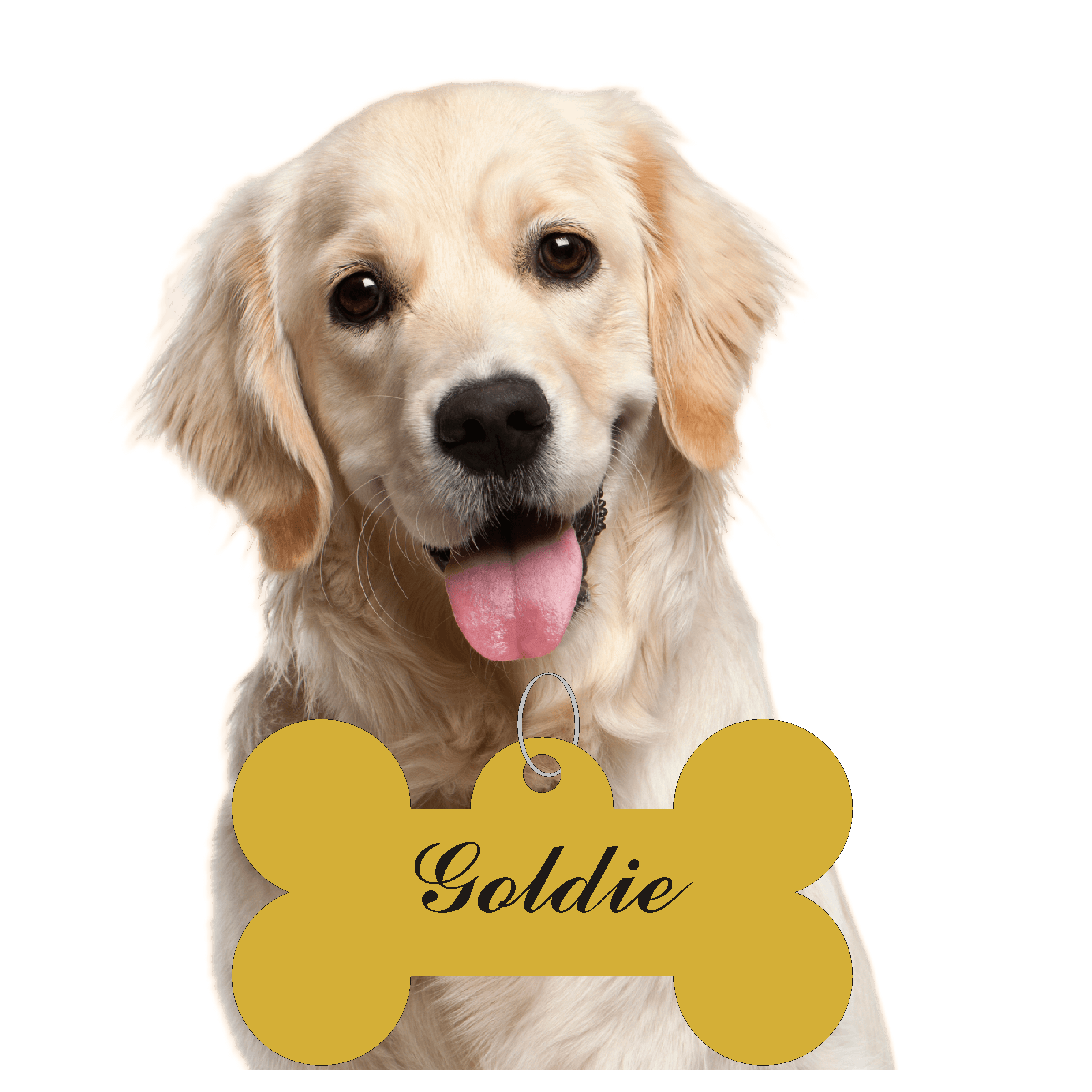 Watch Movement Repair