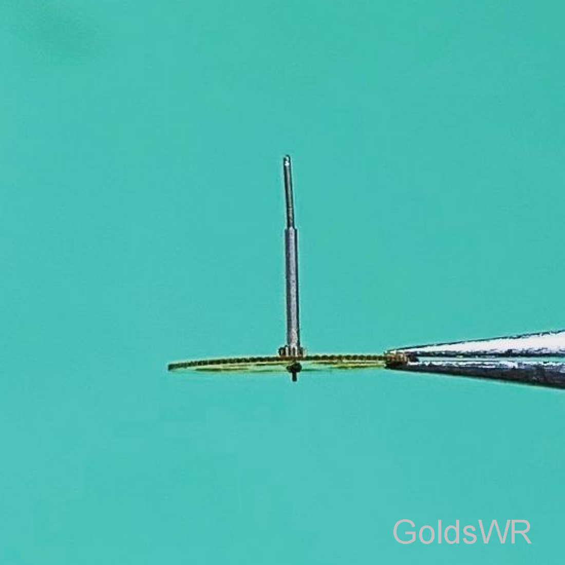 Watch Movement Repair